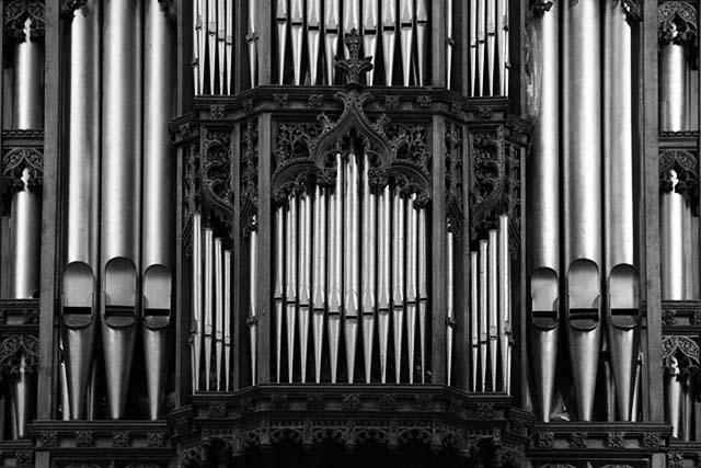 IMG_1252