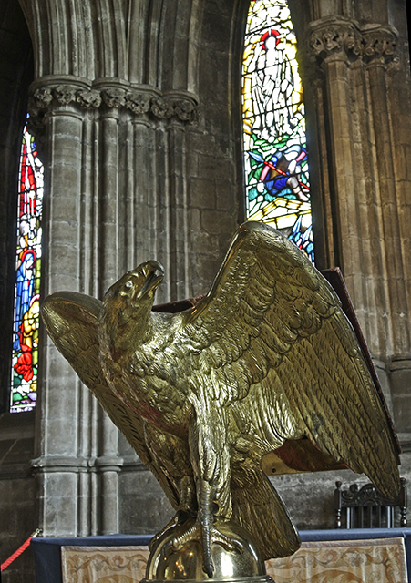 _DSC0460