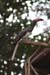 20121003_115305_IMG_2607